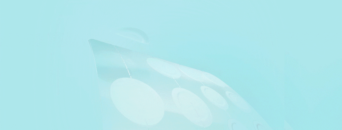 e0325_L_plp_garnier-pimple.gif e0325_L_plp_garnier-pimple.gif