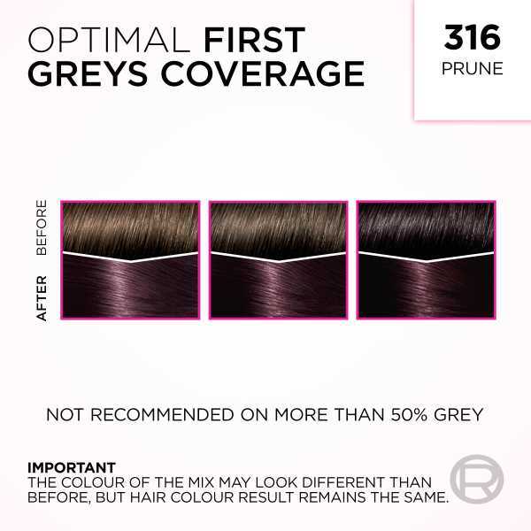 L'Oréal Casting Crème Gloss 316 Prune Hair Dye