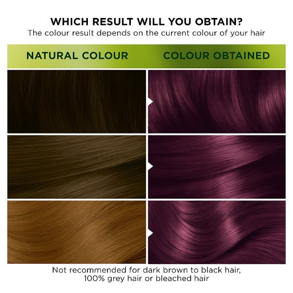 Garnier Nutrisse Ultra Colour 4.26 Intense Permanent Hair Dye