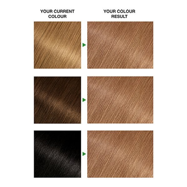 Garnier Nutrisse 6.3 Golden Light Brown Permanent Hair Dye