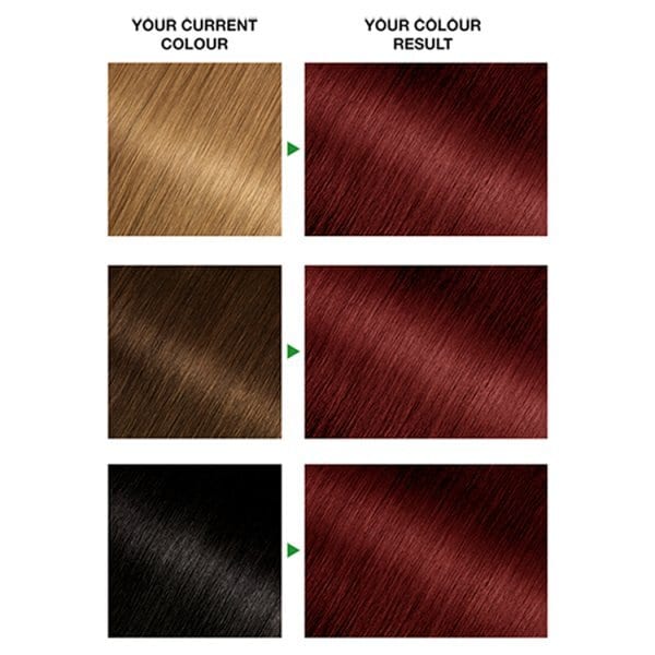 Garnier Nutrisse 4.6 Deep Red Permanent Hair Dye