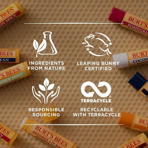 Burt's Bees 100% Natural Origin Lip Balm Beeswax 4.25g
