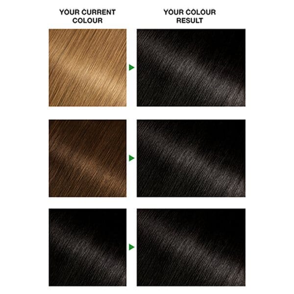 Garnier Nutrisse 1 Black Permanent Hair Dye