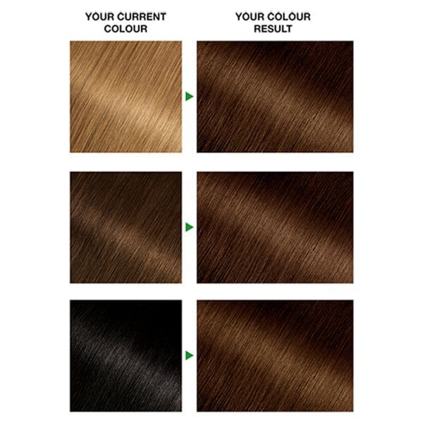 Garnier Nutrisse 4.3 Dark Golden Brown Permanent Hair Dye