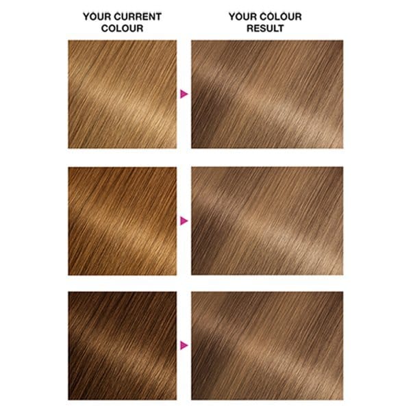 Garnier Nutrisse 8.13 Medium Beige Blonde Permanent Hair Dye