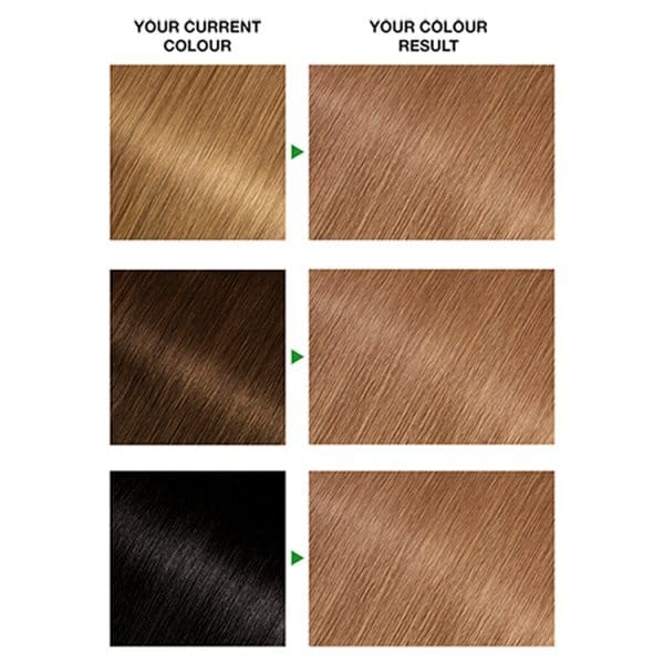 Garnier Nutrisse 6.3 Golden Light Brown Permanent Hair Dye
