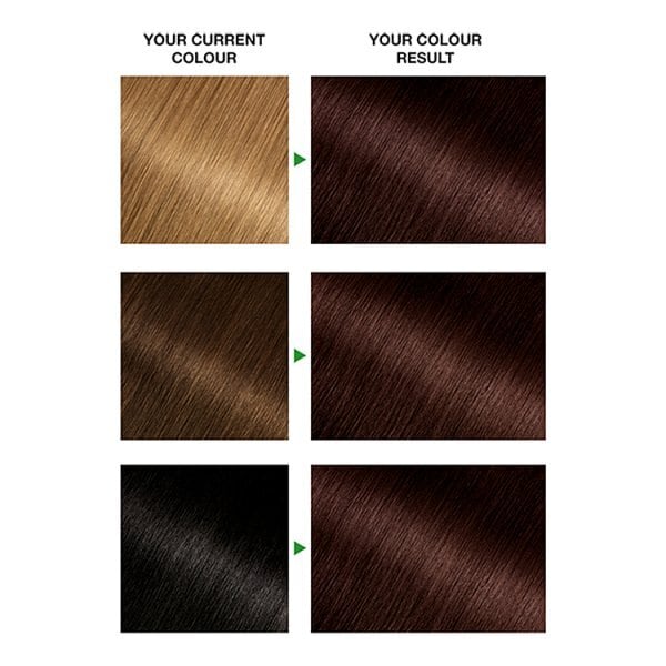 Garnier Nutrisse 3.23 Dark Quartz Brown Permanent Hair Dye