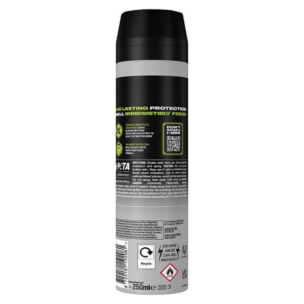 Lynx Epic Fresh Anti-Perspirant Deodorant Aerosol 250 ml