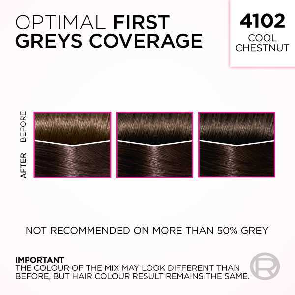 L'Oréal Casting Crème Gloss 4102 Cool Chestnut Hair Dye