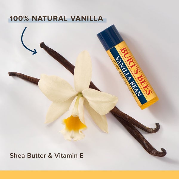Burt's Bees 100% Natural Origin Lip Balm Vanilla 4.25g