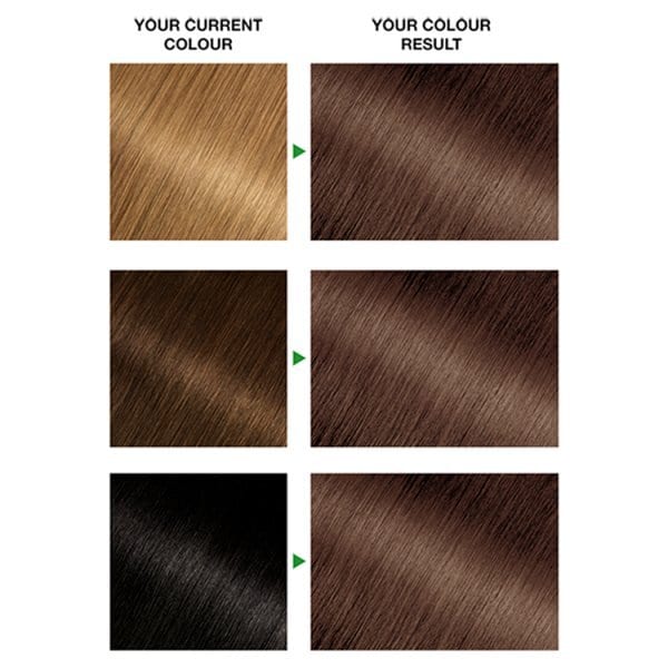 Garnier Nutrisse 6N Nude Light Brown Permanent Hair Dye