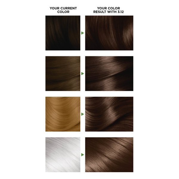 Garnier Nutrisse 3.12 Frozen Brown Permanent Hair Dye
