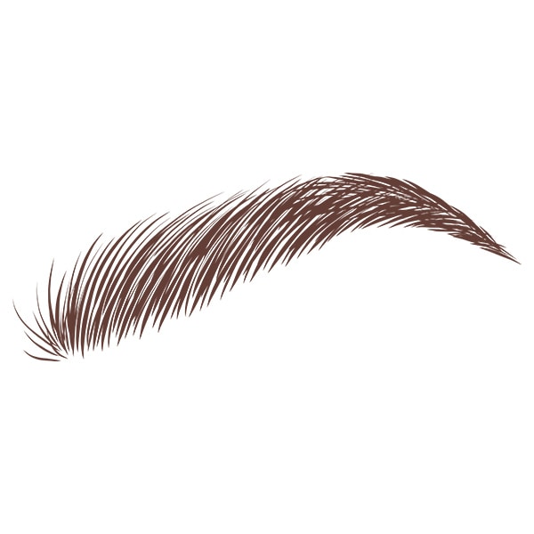 Eylure Dybrow Jumbo Kit