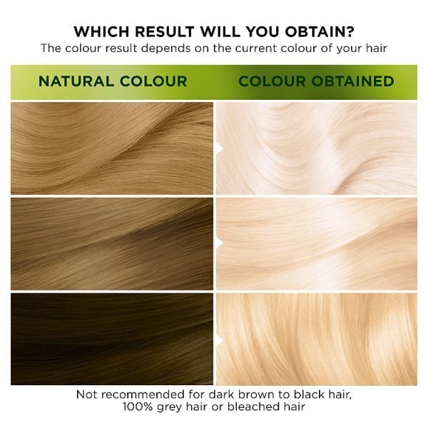 Garnier Nutrisse Ultra Bleach D4+ Permanent Hair Dye