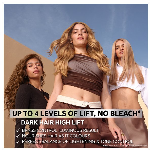 Garnier Nutrisse BlondeLift UL1 Chestnut Blonde Permanent Hair Dye
