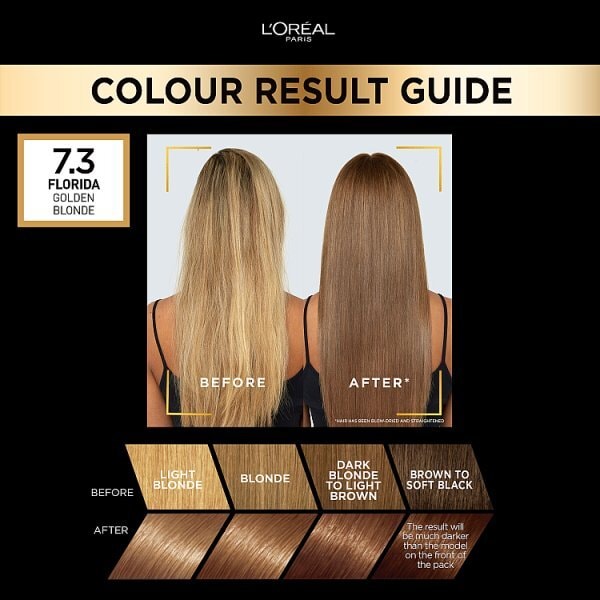 Preference Infinia 7.3 Florida Honey Blonde Hair Dye