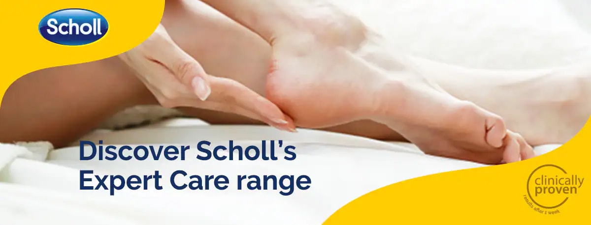 plp-sholl-3-care.jpg