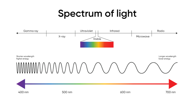 Diagram showing the spectrum of light