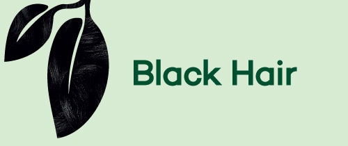 Natural Instincts Black Hair
